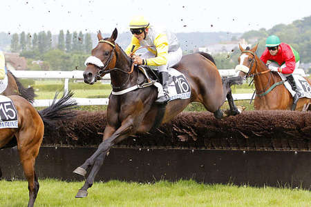 Actualités Hippiques